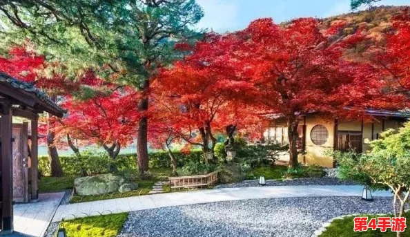 病勤楼栋樱花未增减，反映出城市绿化管理的不足与居民对美好环境的期待之间的矛盾