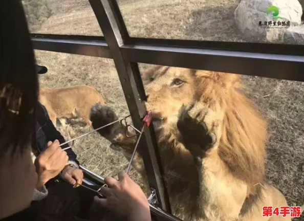 欧美人与牲禽动交com:畅享另类体验,感受人与动物之间的特殊连接与情感互动 欧美人与牲禽动交com:畅享另类体验,感受人与动物之间的特殊连接与情感互动