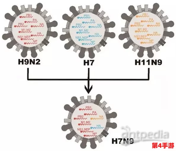 药效h1v2钟意:新研究揭示其在抗病毒治疗中的潜力与应用前景 药效h1v2钟意:新研究揭示其在抗病毒治疗中的潜力与应用前景