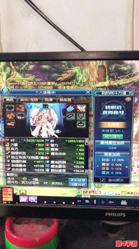 地下城与勇士》：探索奶妈辅助之路与瞎子输出风采，选择你的游戏角色之旅