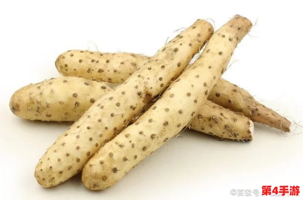 居家的粘液2：新一季带来更多创意玩法，家庭娱乐的全新选择与乐趣体验