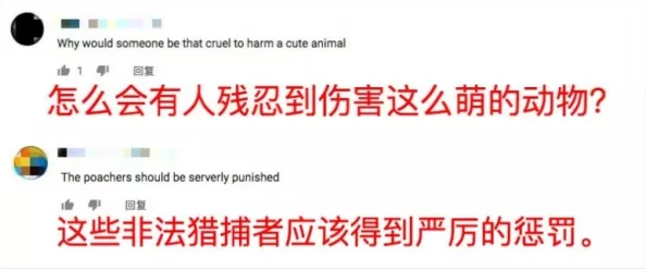 卖婬妓女BBw中国：警方打击非法活动，逮捕多名涉案人员，社会反响强烈，引发公众关注