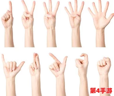 一指挖洞的手势技巧:掌握这一独特手势,提升你的沟通能力与表达效果,让交流更加生动有趣 一指挖洞的手势技巧:掌握这一独特手势,提升你的沟通能力与表达效果,让交流更加生动有趣