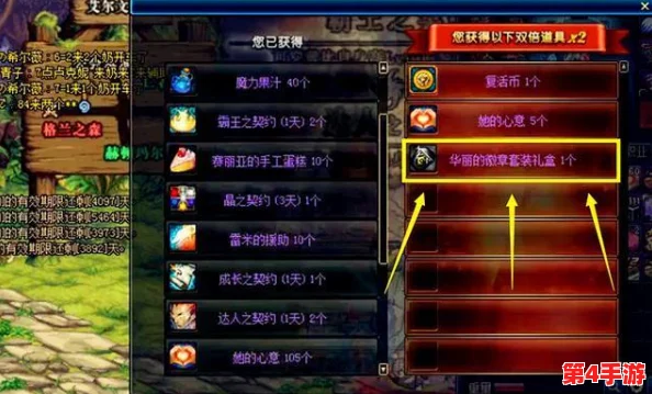 DNF游戏攻略：全面解析华丽徽章最佳镶嵌部位，打造极致角色属性