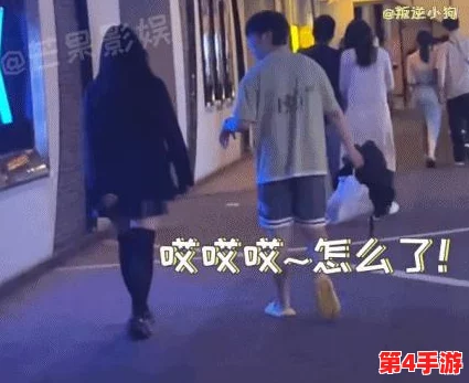 免费网站在线观看人数在哪边？了解各大平台的用户流量和观看习惯，帮助你选择最佳观影体验
