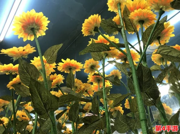 性吧克:一场“百花齐放”的文化盛宴,展现多元与包容的魅力 性吧克:一场“百花齐放”的文化盛宴,展现多元与包容的魅力