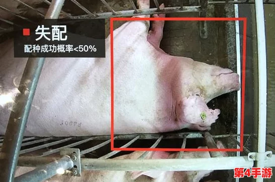 猪的又细又长像钻头一样,科学家发现其独特形态与生存环境密切相关,引发广泛关注 猪的又细又长像钻头一样,科学家发现其独特形态与生存环境密切相关,引发广泛关注