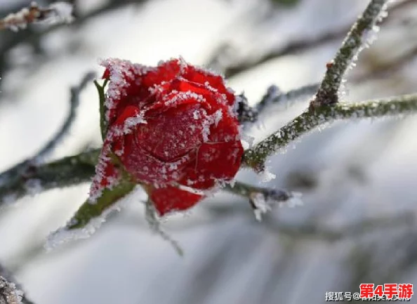 凝光可深插模拟器游戏:在虚拟世界中体验无限可能,感受沉浸式的互动乐趣与创意挑战 凝光可深插模拟器游戏:在虚拟世界中体验无限可能,感受沉浸式的互动乐趣与创意挑战