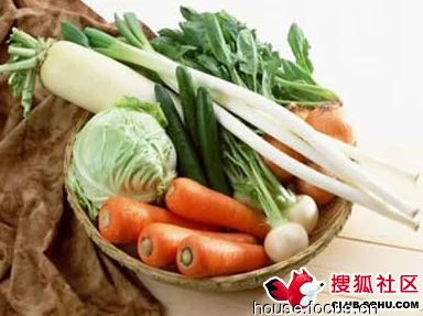 光腿拨萝卜：夏日清凉穿搭与美食的完美结合，享受生活的每一刻