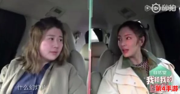 张雨绮人文艺术欣赏ppt：深入了解她的艺术风格与文化背景，感受其作品中的独特魅力与情感表达