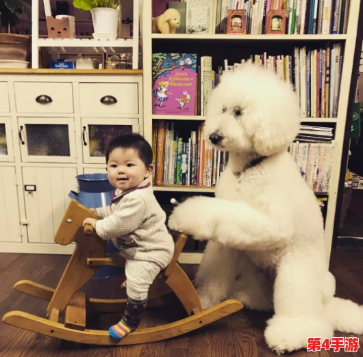婆婆和我的狗老公怎么相处:爱与理解让家庭更加温暖幸福 婆婆和我的狗老公怎么相处:爱与理解让家庭更加温暖幸福