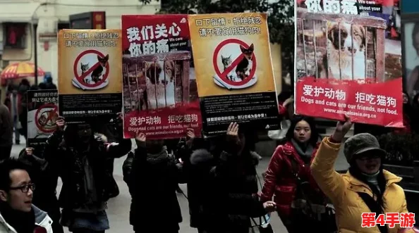 欧美种人禽交事件引发广泛关注，专家呼吁加强法律法规以保护动物权益与公共道德