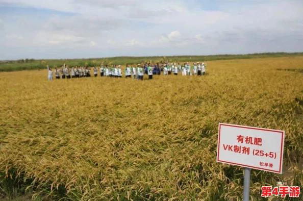 种子齐备五十二难:探讨在农业发展中面临的挑战与解决方案,助力可持续未来的实现 种子齐备五十二难:探讨在农业发展中面临的挑战与解决方案,助力可持续未来的实现
