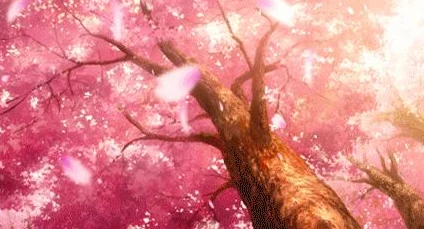 樱花动漫网页版怎么进入？详细步骤与技巧分享，让你轻松畅享精彩动漫内容！