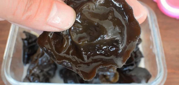 噼里啪啦1080P：全新高清视听体验引发观众热议，技术革新助力影视行业发展