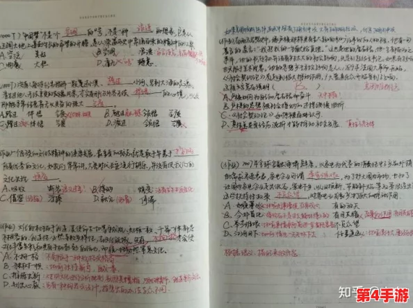 暑假作业张婉莹：如何高效完成暑期任务，提升学习能力与自我管理技巧的实用指南