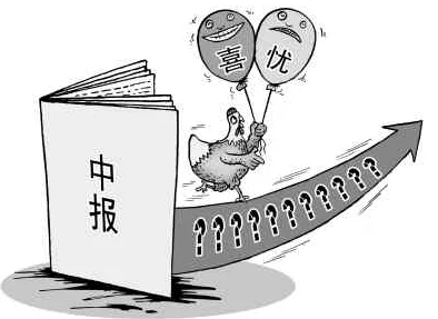 1v3家三兄弟：在竞争激烈的环境中，如何通过团结与合作实现逆转和胜利？