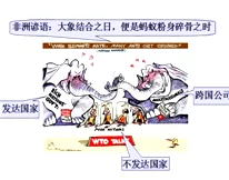 大地资源第五页：探讨全球自然资源的可持续利用与保护策略，促进生态平衡与经济发展的和谐共生