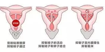 多人灌满精子怀孕高H:探讨现代生育方式与伦理的复杂交织,影响家庭结构与社会观念的深远变化 多人灌满精子怀孕高H:探讨现代生育方式与伦理的复杂交织,影响家庭结构与社会观念的深远变化