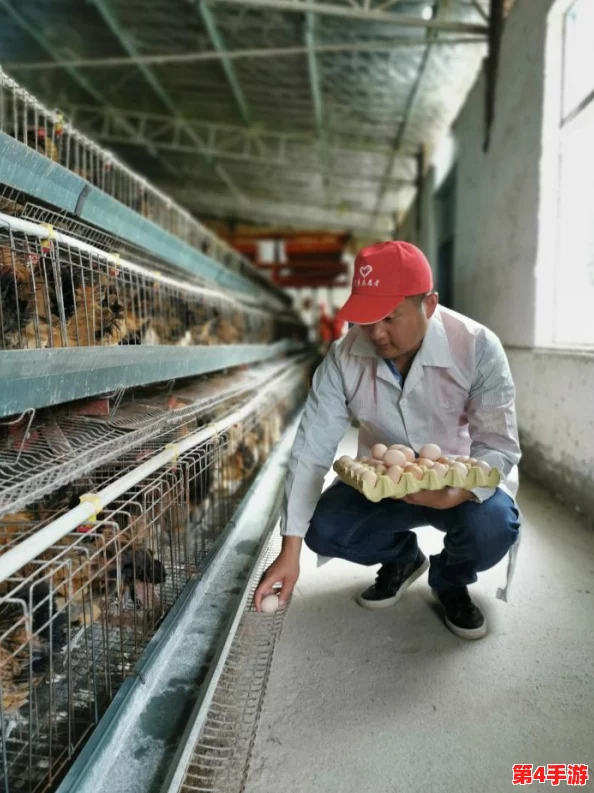 我获得了肉禽系统：如何通过现代化养殖技术提升肉禽产业的可持续发展与经济效益