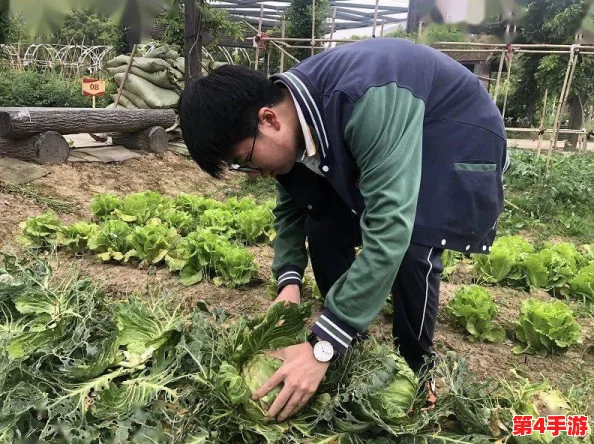 披风少年的爱老妈的故事：一段温暖感人的亲情旅程，展现了母子之间深厚的情感与无私的奉献精神