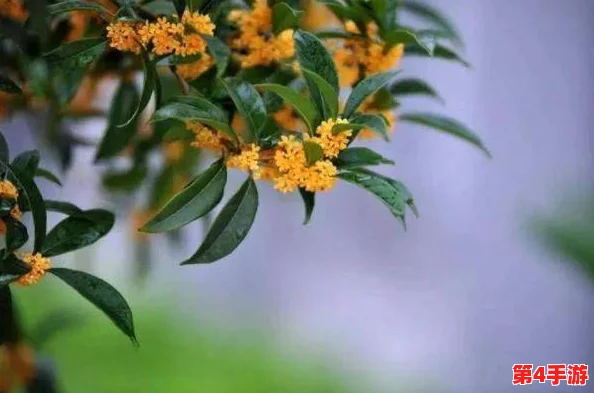杨大壮和田桂花的恋情曝光,背后竟隐藏着不为人知的秘密与恩怨,引发网友热议! 杨大壮和田桂花的恋情曝光,背后竟隐藏着不为人知的秘密与恩怨,引发网友热议!