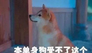 啊哈有人来了啊哈知许解夏,期待与大家分享更多精彩瞬间,共同感受生活中的点滴乐趣与美好 啊哈有人来了啊哈知许解夏,期待与大家分享更多精彩瞬间,共同感受生活中的点滴乐趣与美好
