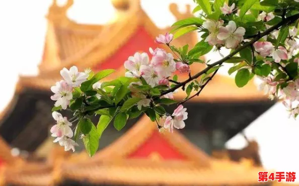 重塑王府荣光:精选门客策略与高效培养之道,解锁王爷治理新篇章 重塑王府荣光:精选门客策略与高效培养之道,解锁王爷治理新篇章