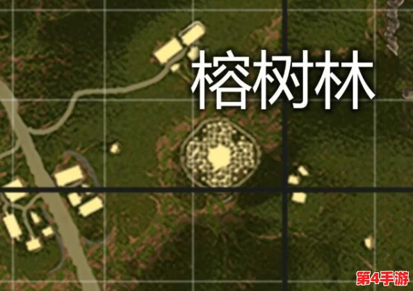 丛林生存智慧：解锁疾跑加速游泳技巧，成为水域中的优胜者法则