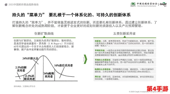 丰年经继拇中文2的创新点与实例解析及其市场影响分析