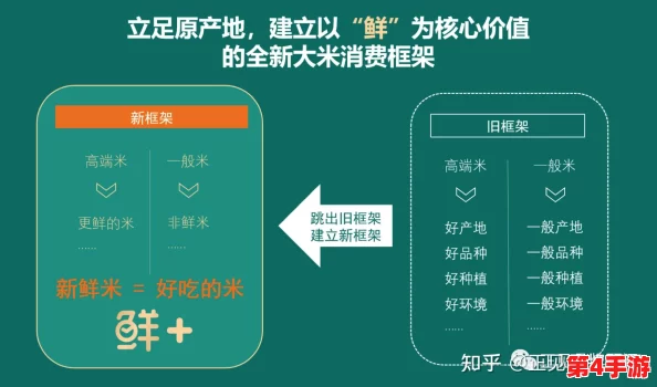丰年经继拇中文2的创新点与实例解析及其市场影响分析