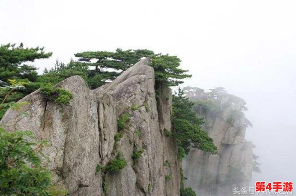 旅游换伴交流故事100篇：揭秘那些不为人知的旅行趣闻与八卦，让你大开眼界的奇妙经历！