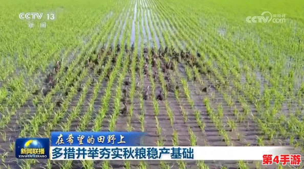 耕种妈妈肥沃的土地在哪个地方？网友热议：是家乡的田野，还是心灵深处的那片净土？