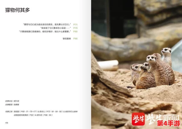 狂野西部新篇章:疯狂动物园迎来灵长类霸主,猩猩伙伴震撼登场共舞荒野奇趣! 狂野西部新篇章:疯狂动物园迎来灵长类霸主,猩猩伙伴震撼登场共舞荒野奇趣!