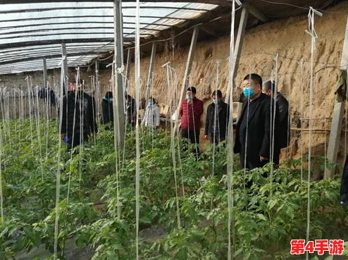 草莓丝瓜的营养价值与种植技巧分析，探讨其在现代饮食中的独特地位与健康益处