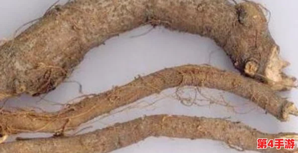 黄金网站软件app大全视频：最新应用推荐与使用技巧分享，助你轻松找到最优质的资源平台