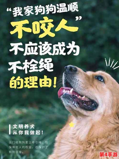 s怎么骂小狗m黄的句子：探讨如何以幽默和温柔的方式表达对小狗的不满，而不是使用伤害性的语言