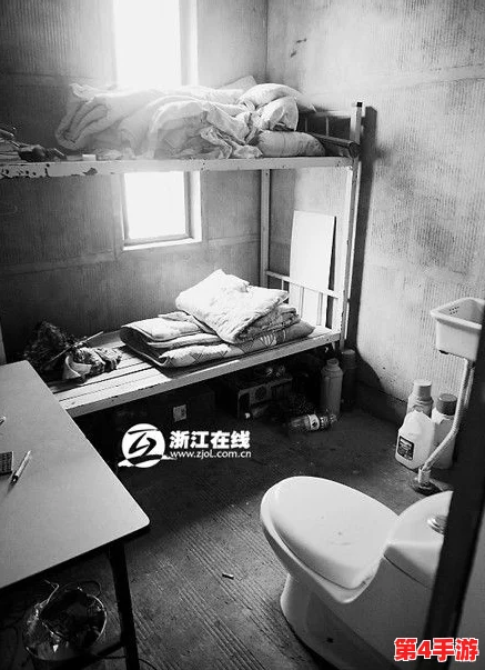 旱厕盗摄大屁股：揭示公共卫生设施中隐私侵犯现象的严重性与社会关注度提升的必要性