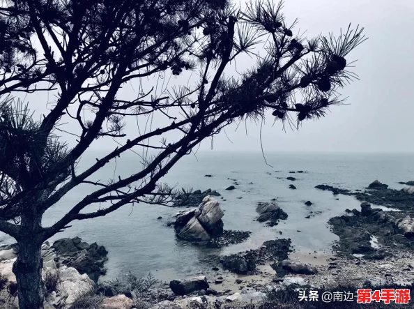 海角.comhj3dchj:网友热议这一新兴平台的潜力与挑战,是否能成为下一个网络风潮? 海角.comhj3dchj:网友热议这一新兴平台的潜力与挑战,是否能成为下一个网络风潮?