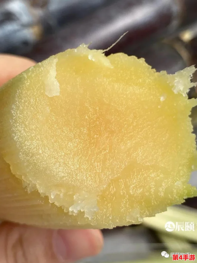 全面解析超进化物语:高效互换结晶策略与实战应用价值探索 全面解析超进化物语:高效互换结晶策略与实战应用价值探索