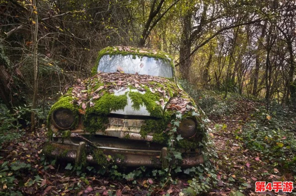 法国老人做交易森林,引发网友热议:有人认为这是保护环境的创新方式,也有人担心可能带来的生态风险 法国老人做交易森林,引发网友热议:有人认为这是保护环境的创新方式,也有人担心可能带来的生态风险