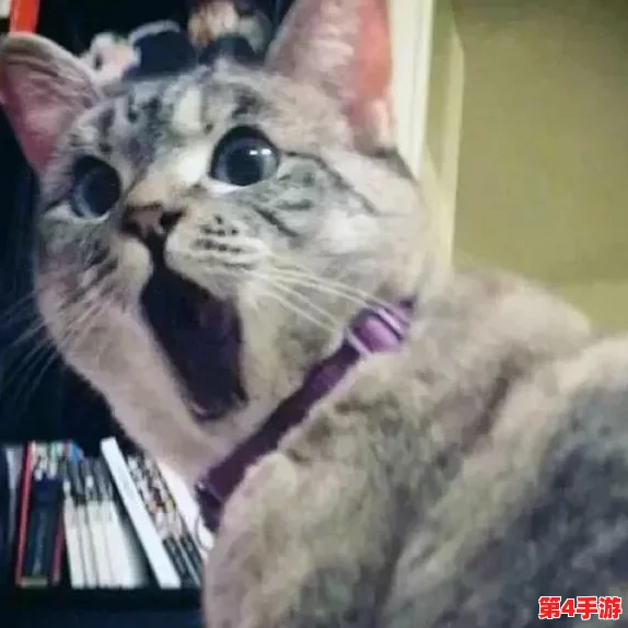 猫咪最新永久地域网名:探索可爱猫咪在网络世界中的独特身份与个性化表达方式 猫咪最新永久地域网名:探索可爱猫咪在网络世界中的独特身份与个性化表达方式