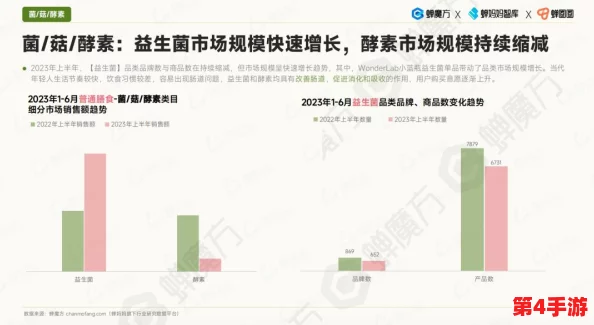 最强G平台小蓝2023：全面解析这一年度最具影响力的游戏平台及其创新功能与用户体验提升