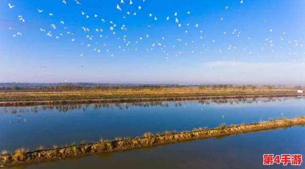 澧色母1-6：新进展揭示其在生态保护与可持续发展中的重要作用与应用前景