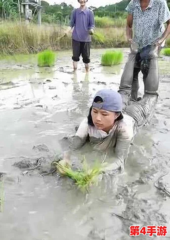 夫妻插秧100种方法图片大全：从传统技巧到现代科技，助您轻松完成插秧工作，共享丰收乐趣