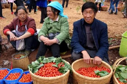 蜜桃影像：网友热议其独特风格与情感表达，认为作品展现了生活的真实与美好，引发共鸣和思考